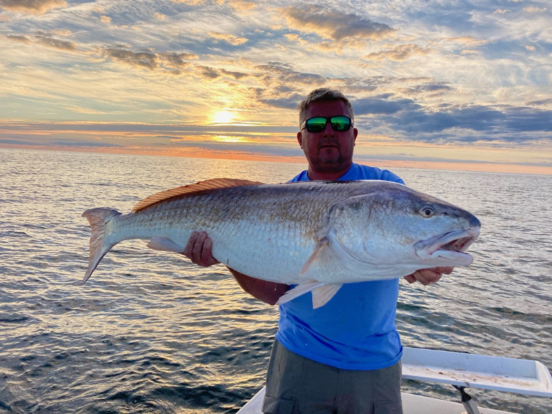 big bull redfish in lower bay