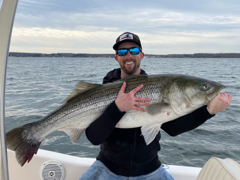 trophy rockfish in lower bay