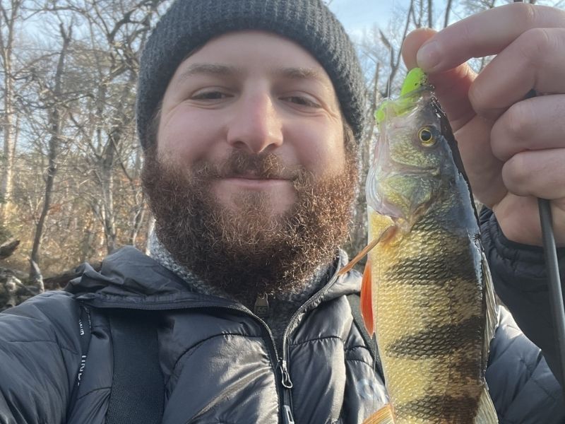 yellow perch fishing chesapeake bay