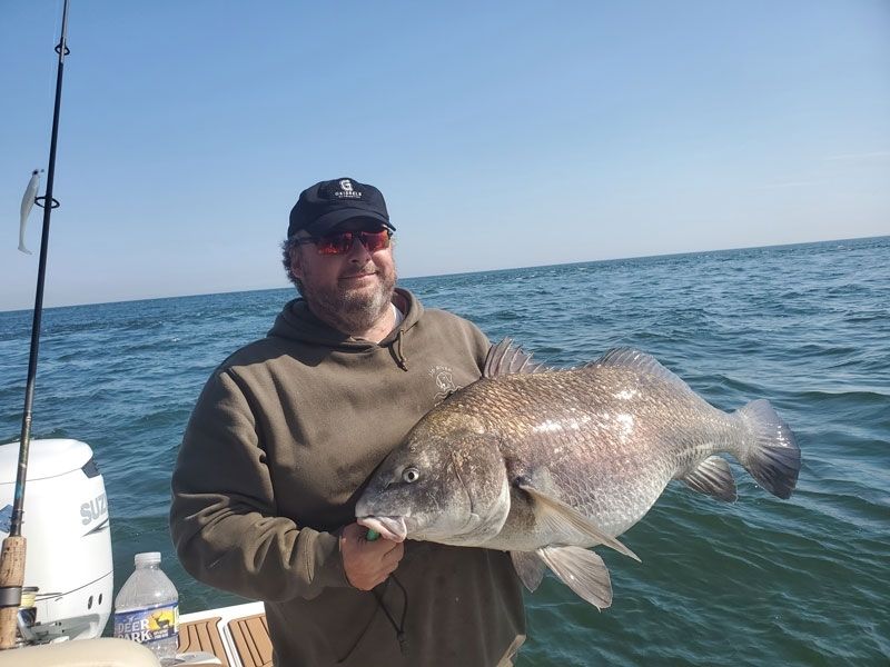 Black drum fishing Chesapeake Bay