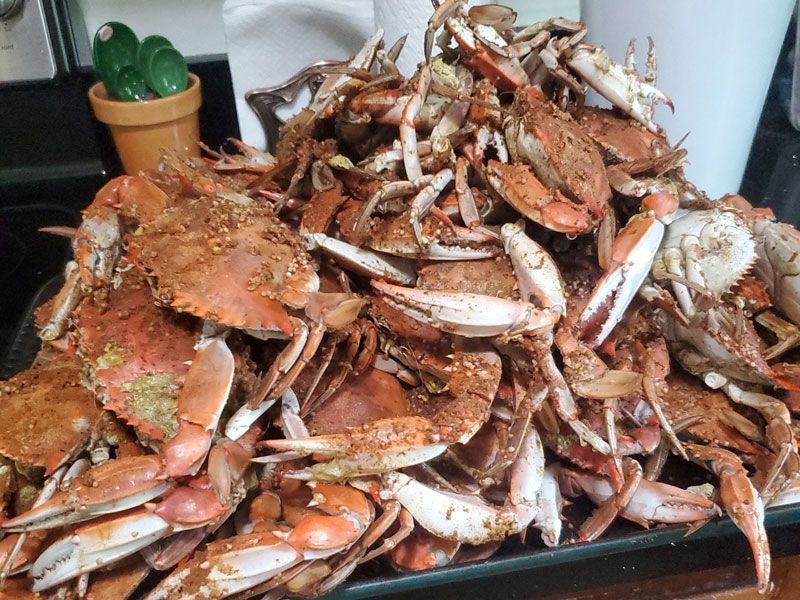 Chesapeake Bay crabbing