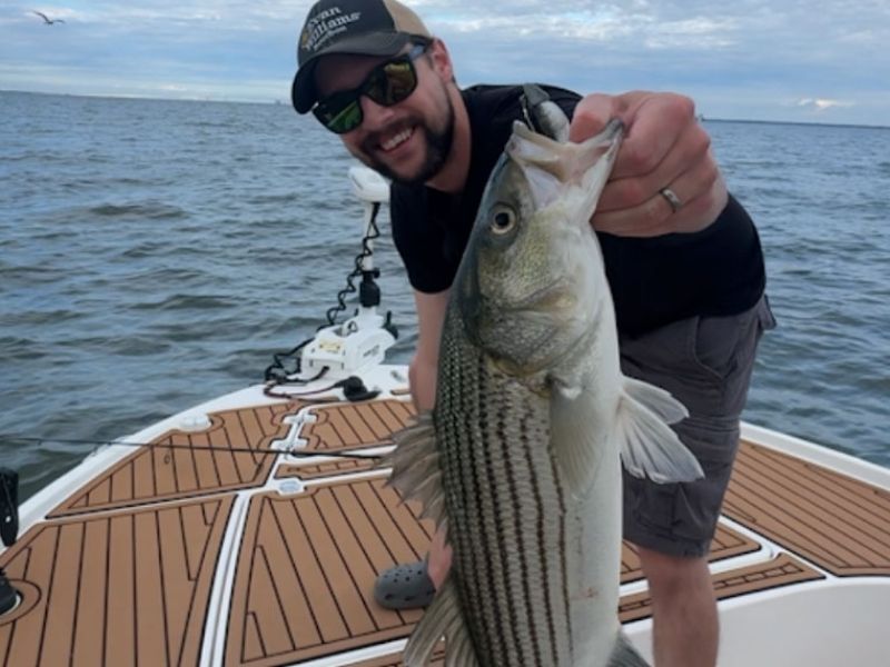 striped bass fishing chesapeake bay
