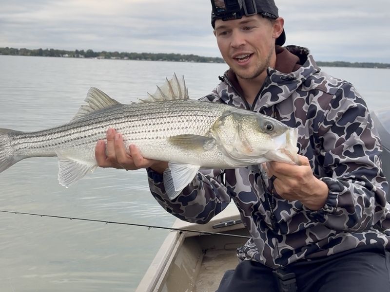striped bass fishing chesapeake bay