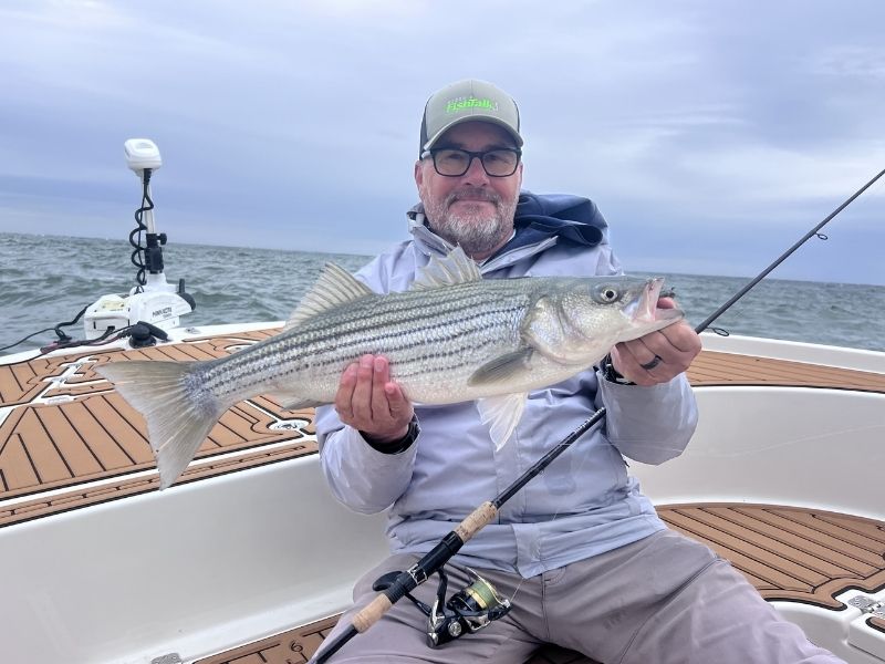 Striped bass fishing Chesapeake Bay