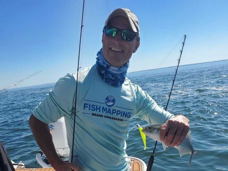 Bluefish fishing Chesapeake Bay
