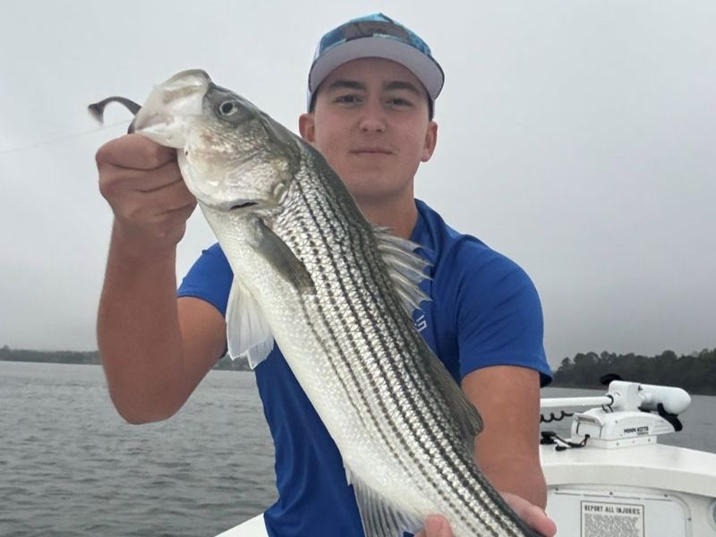 Striped bass fishing