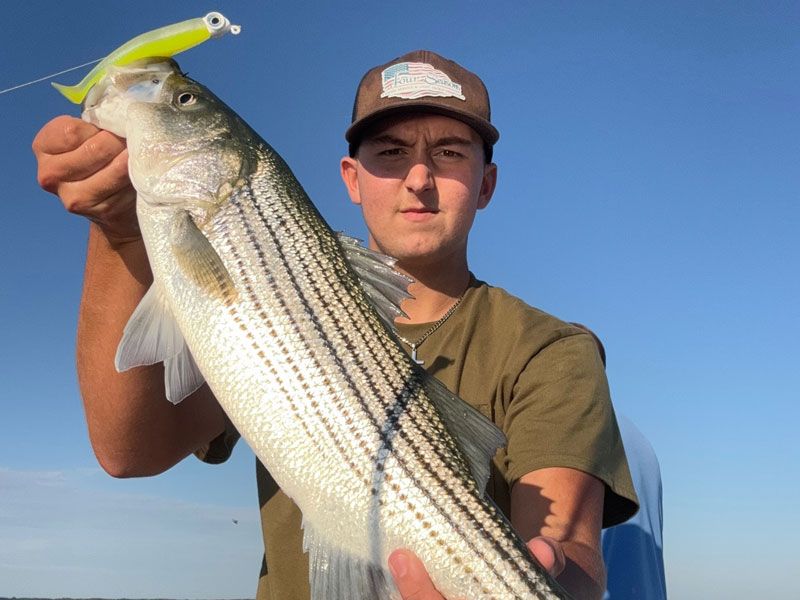 striped bass fishing chesapeake bay