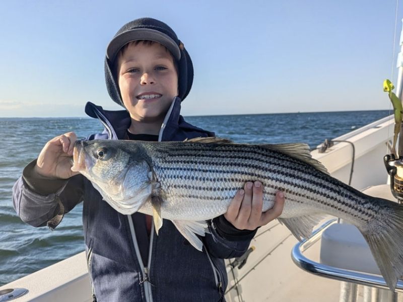 Striped bass fishing Chesapeake Bay
