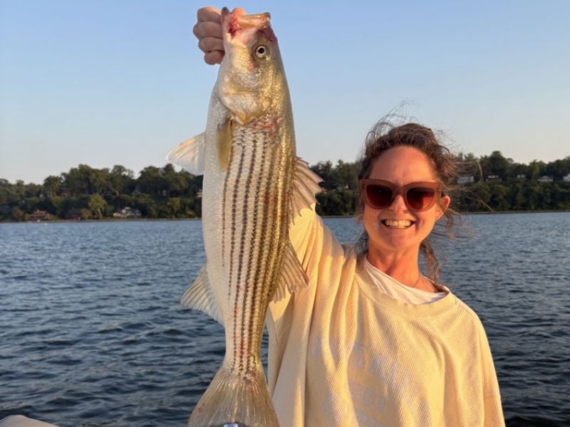 Striped bass fishing Chesapeake Bay