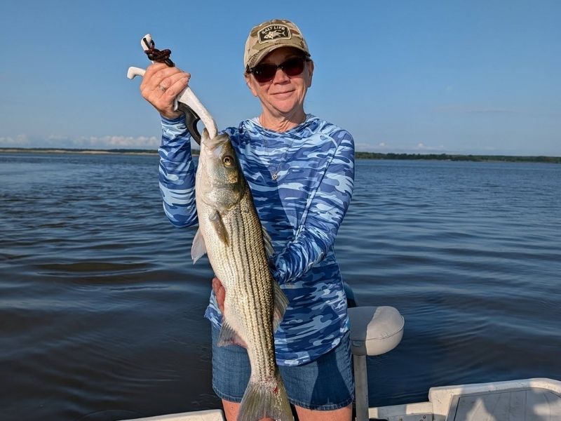 striped bass fishing chesapeake bay