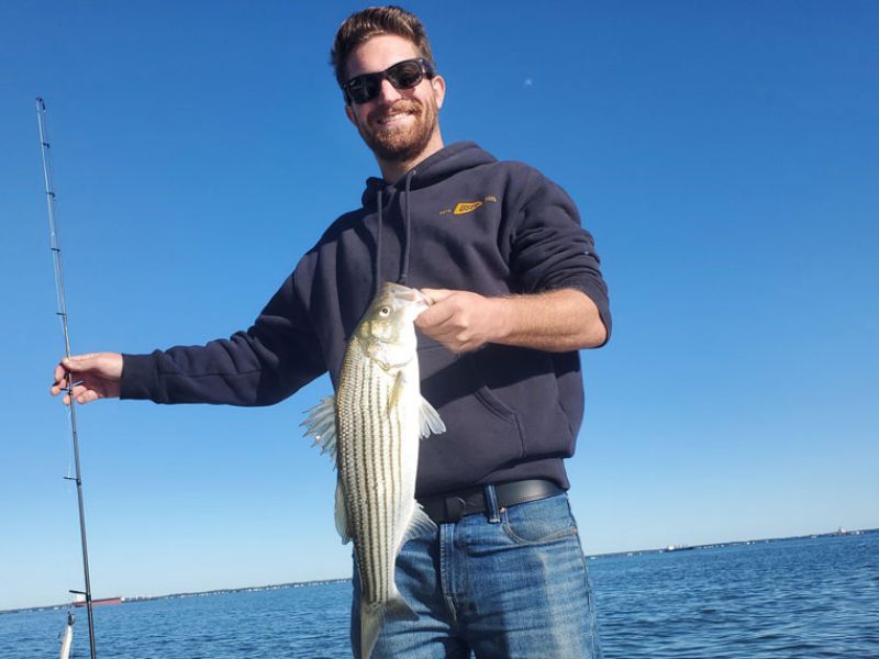striped bass fishing chesapeake bay
