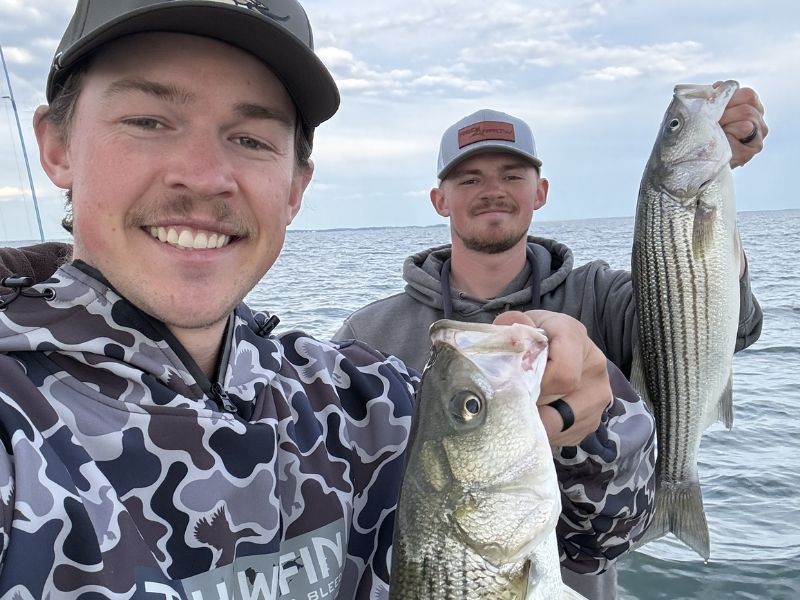 Striped bass fishing Chesapeake Bay