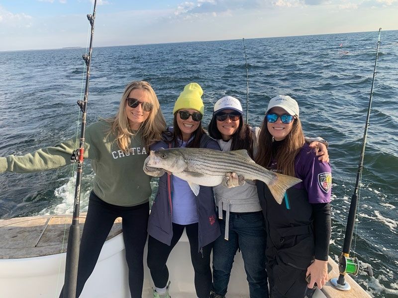 Striped bass fishing Chesapeake Bay