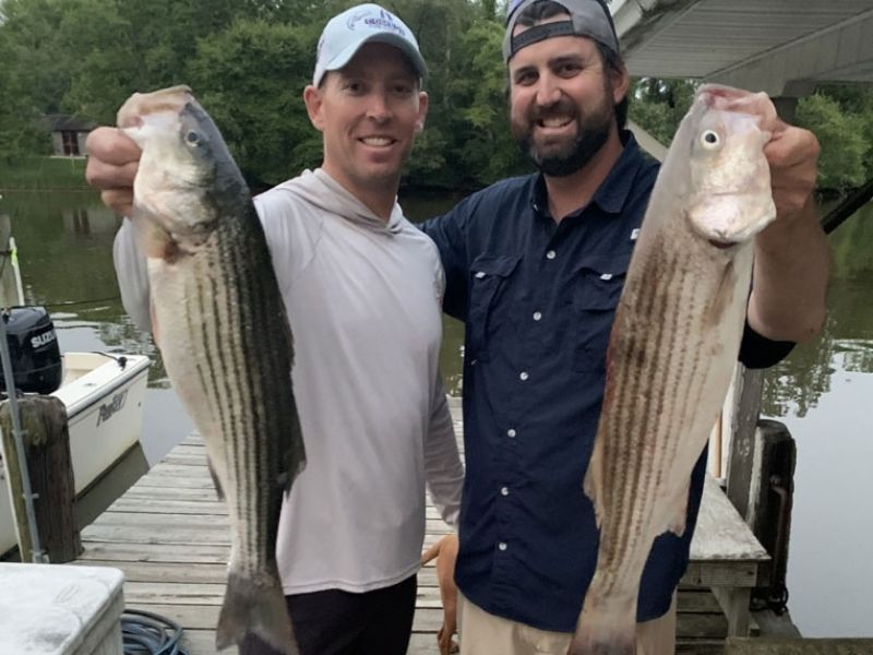 striped bass fishing chesapeake bay