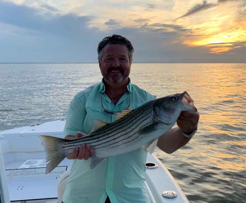 middle bay rockfish