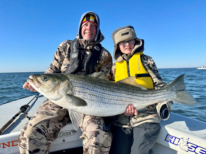 chesapeake bay trophy rockfish