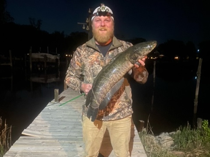 bowfishing for snakehead