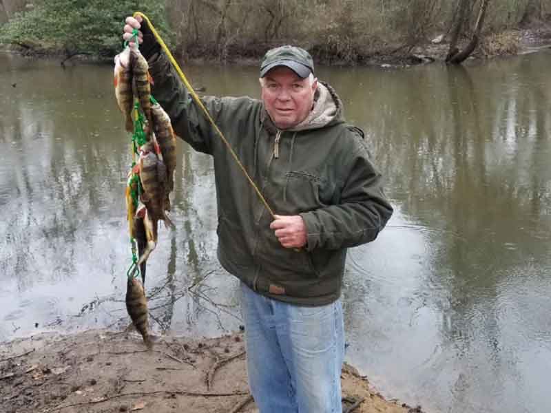 angler with a stringer of perch