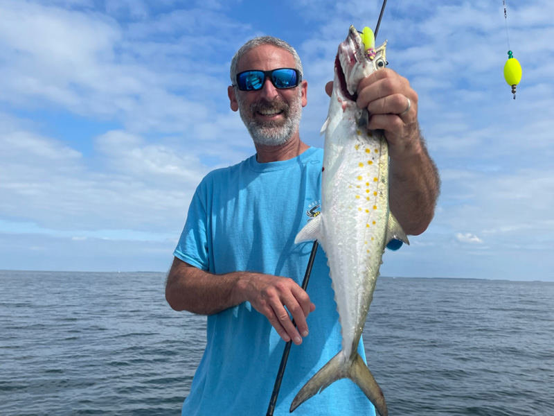 poplar island spanish mackerel