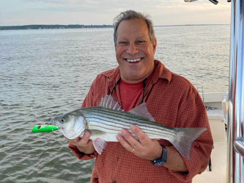 topwater striper