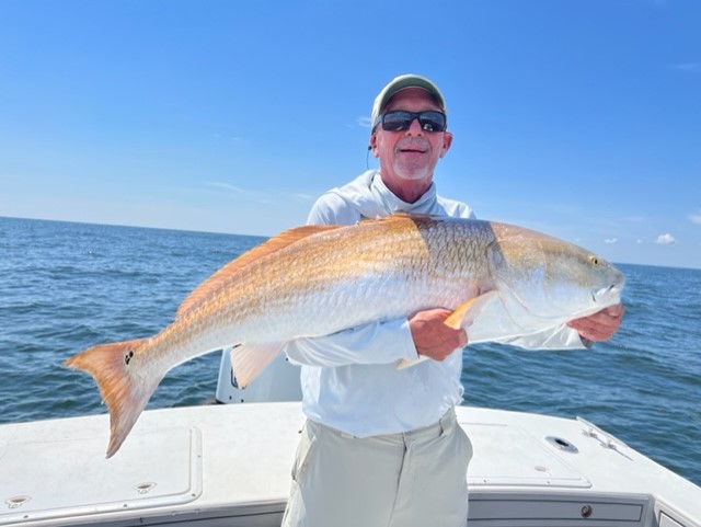 monster red drum