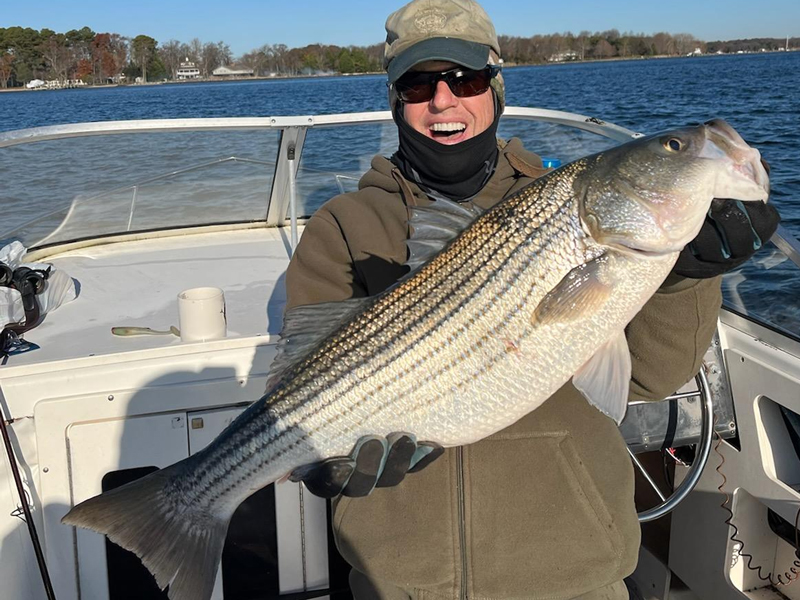 big middle bay striper