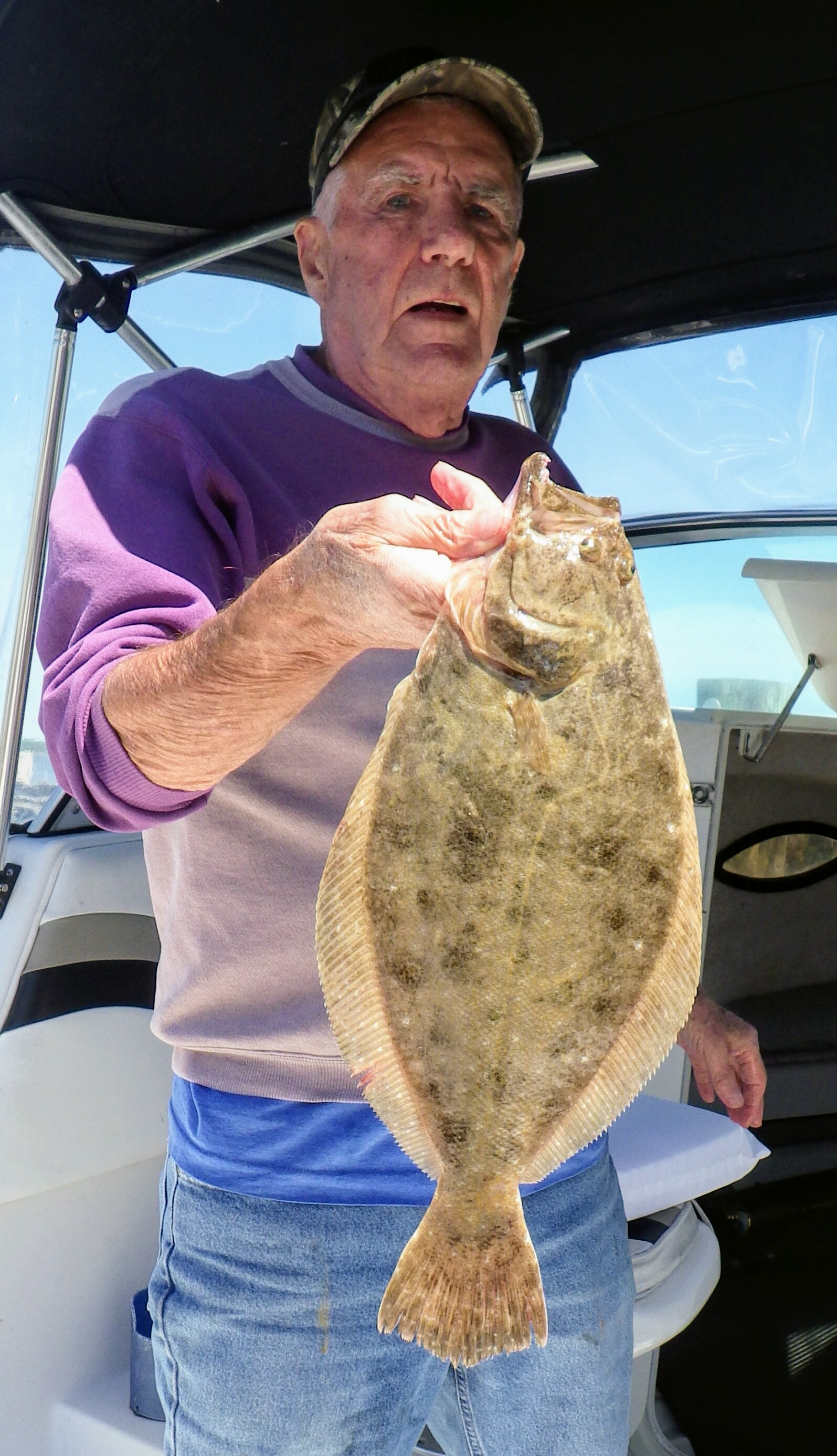 flounder