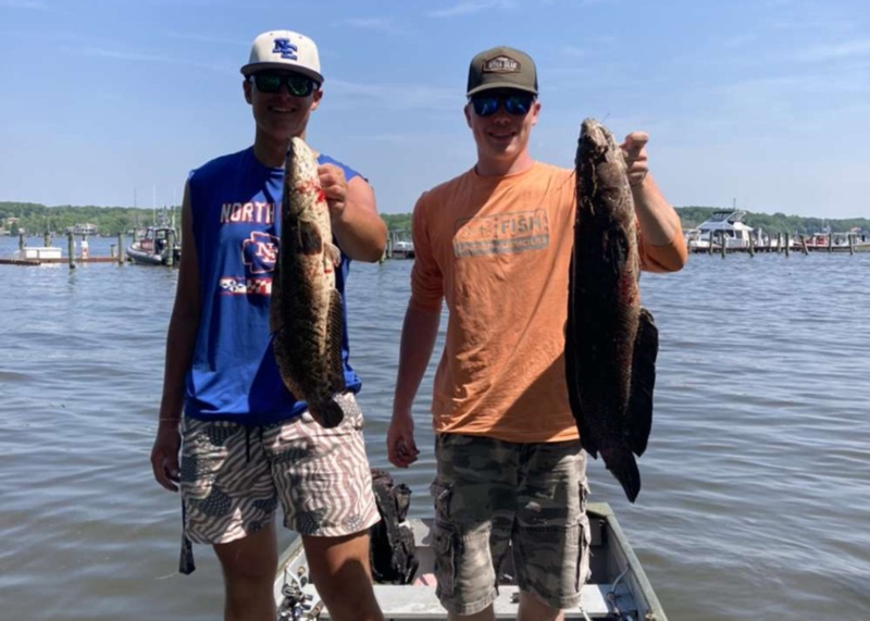 snakehead anglers