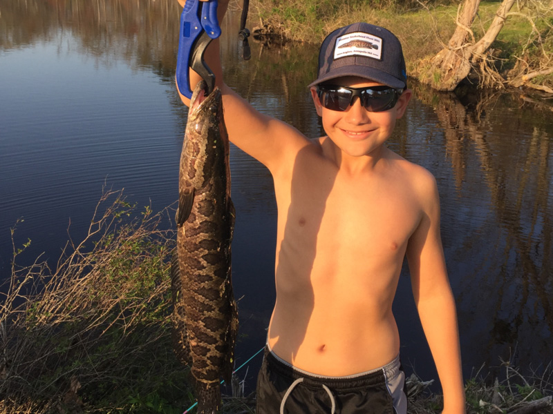 freshwater fishing catching snakeheads