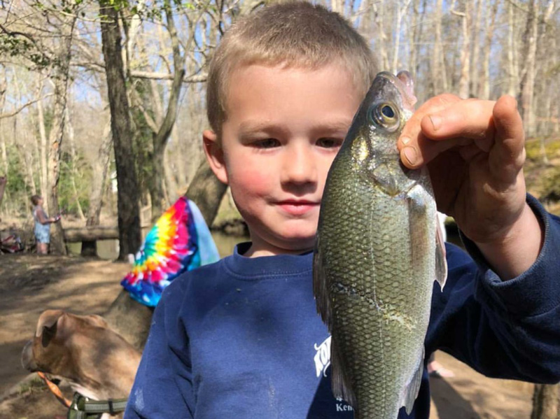 middle chesapeake white perch fishing report