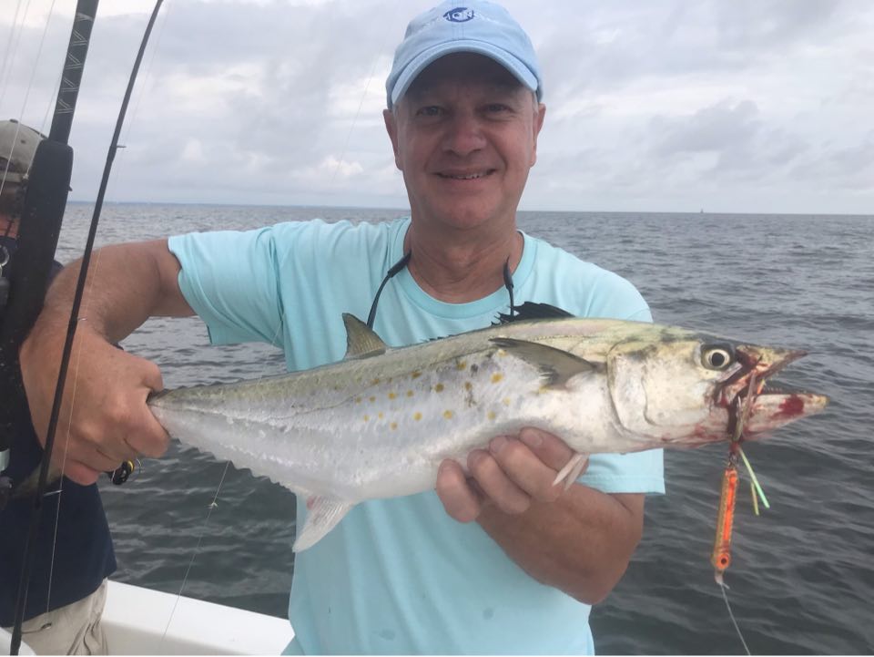 big spanish mackerel