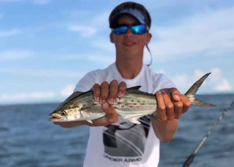 spanish mackerel got caught