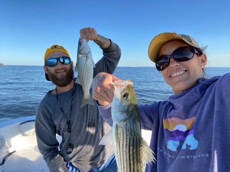 lower bay rockfish fishing