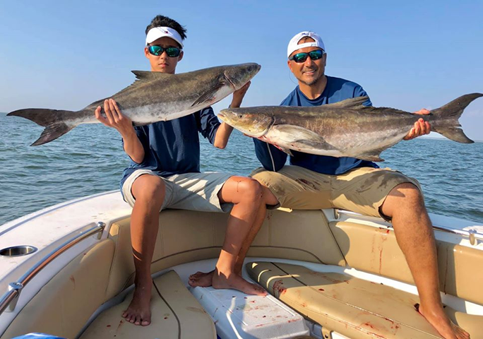 anglers with cobia