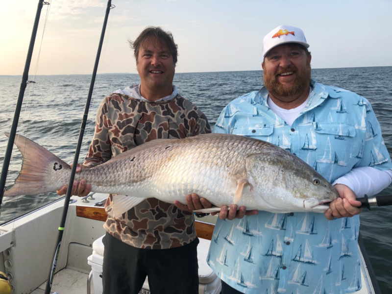 mid bay bull redfish