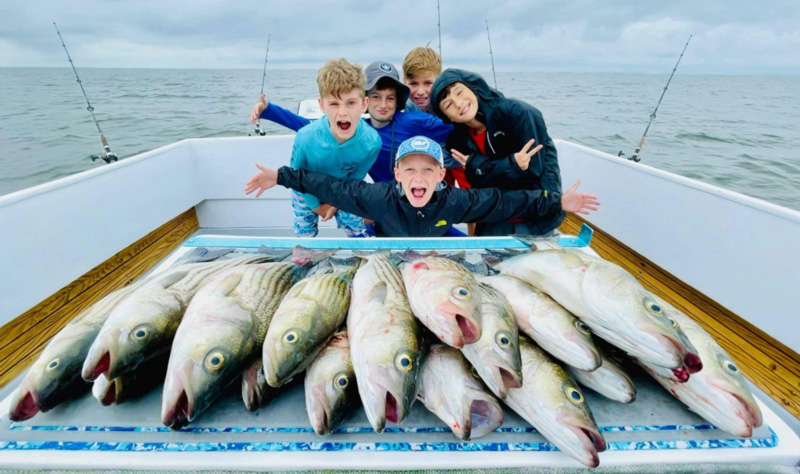 load of rockfish on a charter boat