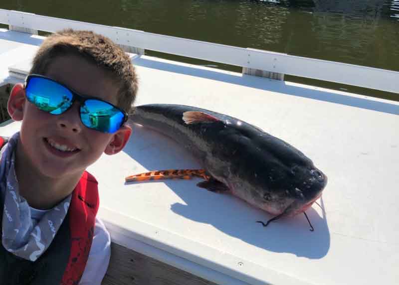 north chesapeake catfish