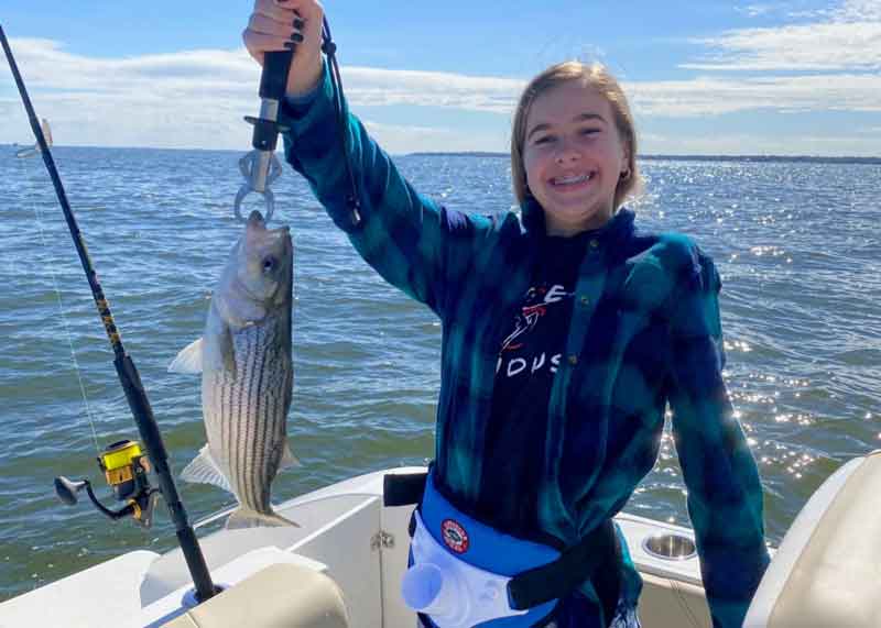 rockfishing reports for upper bay