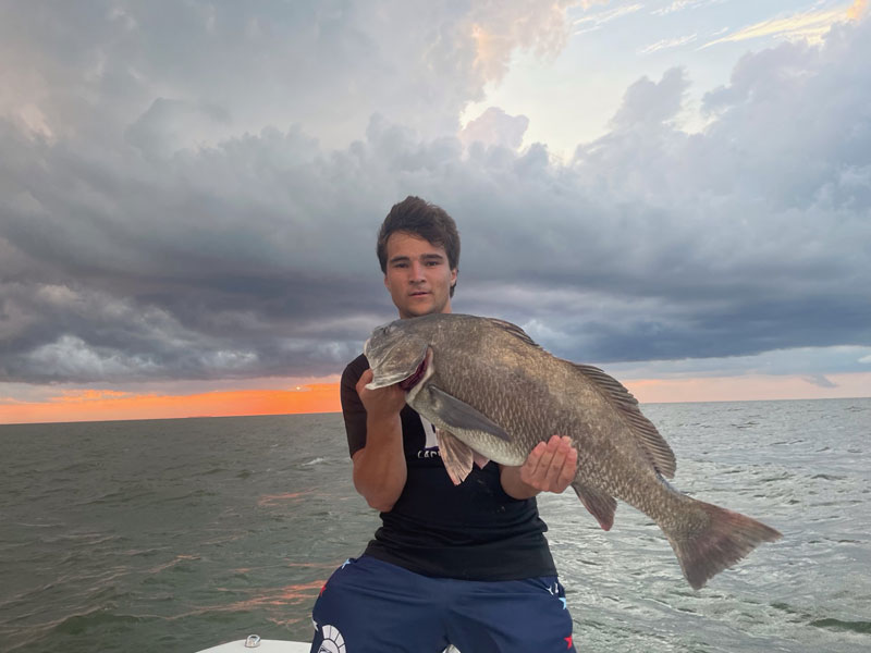 black drum in the eastern shore of virginia