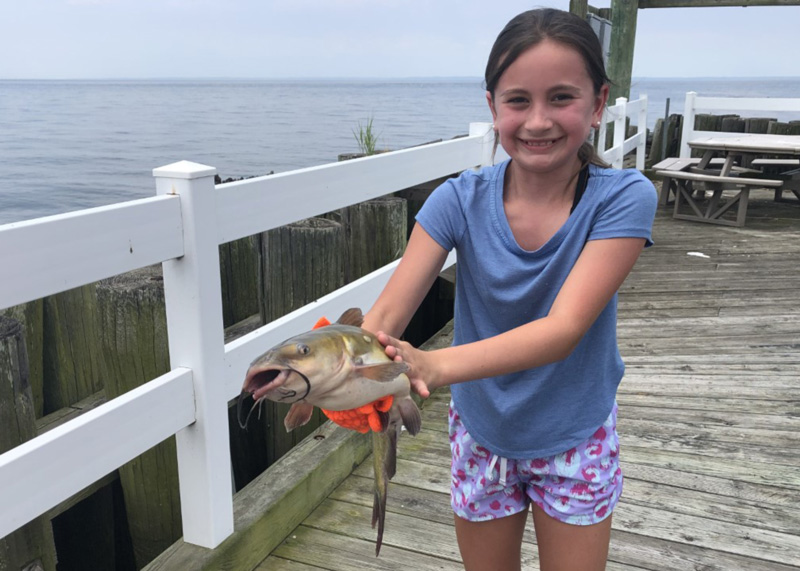 perch caught by a girl