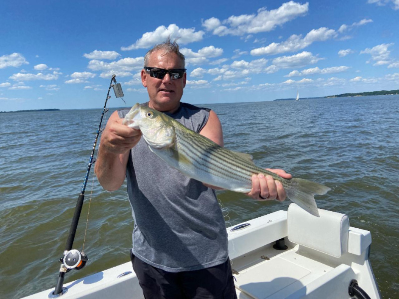 trolling rockfish