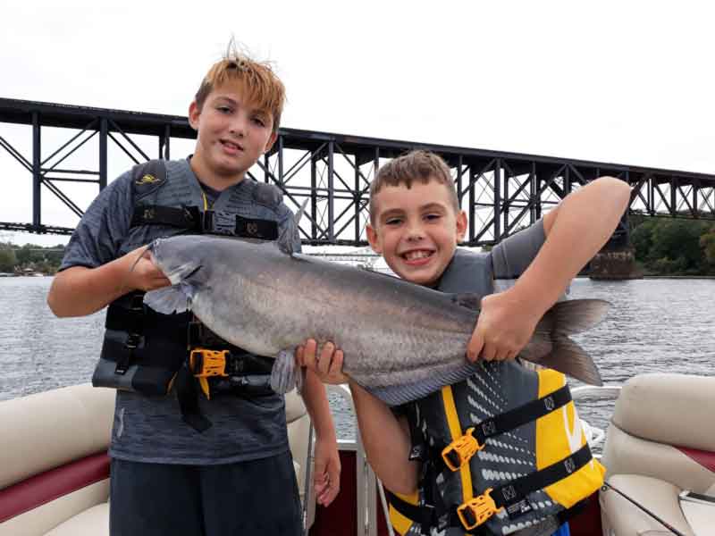 catfish caught in the north chesapeake