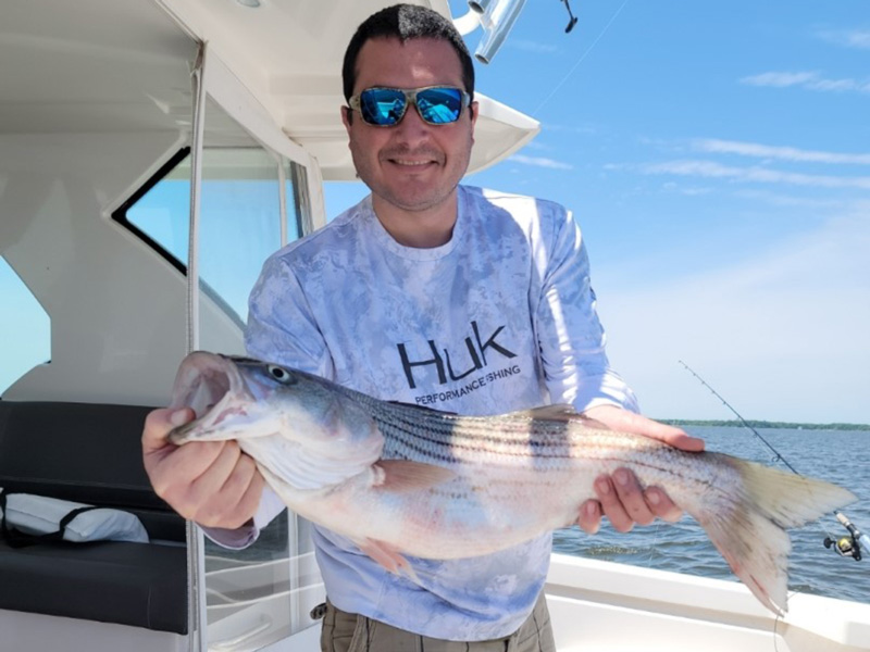 rockfish caught in the middle bay