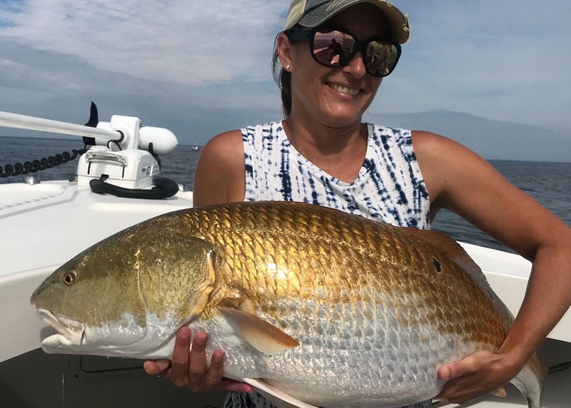 giant bull redfish