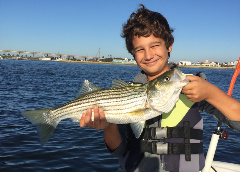 upper bay fishing report