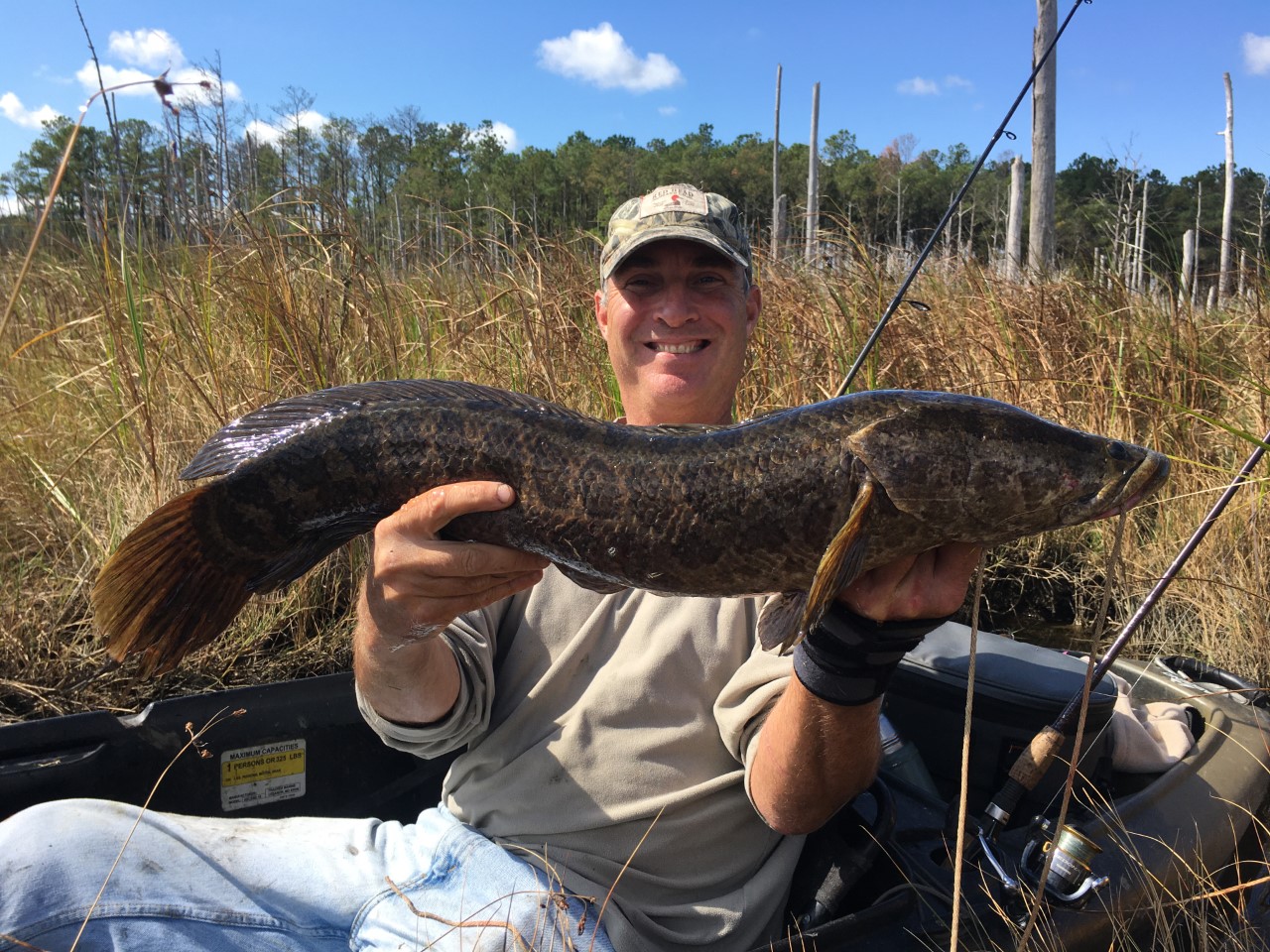 snakehead on lures