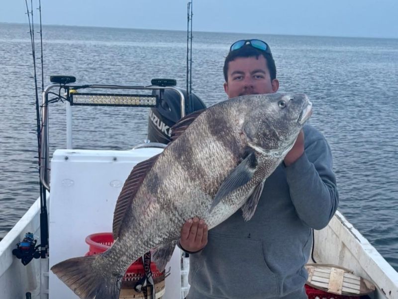 Black drum fishing