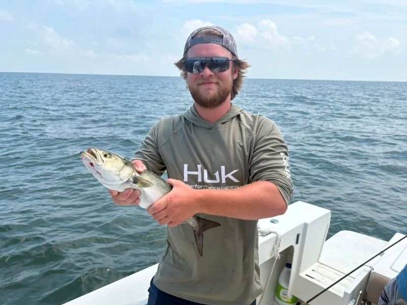 Bluefish fishing Chesapeake Bay