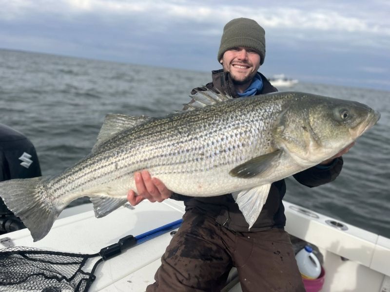 trophy striped bass chesapeake bay