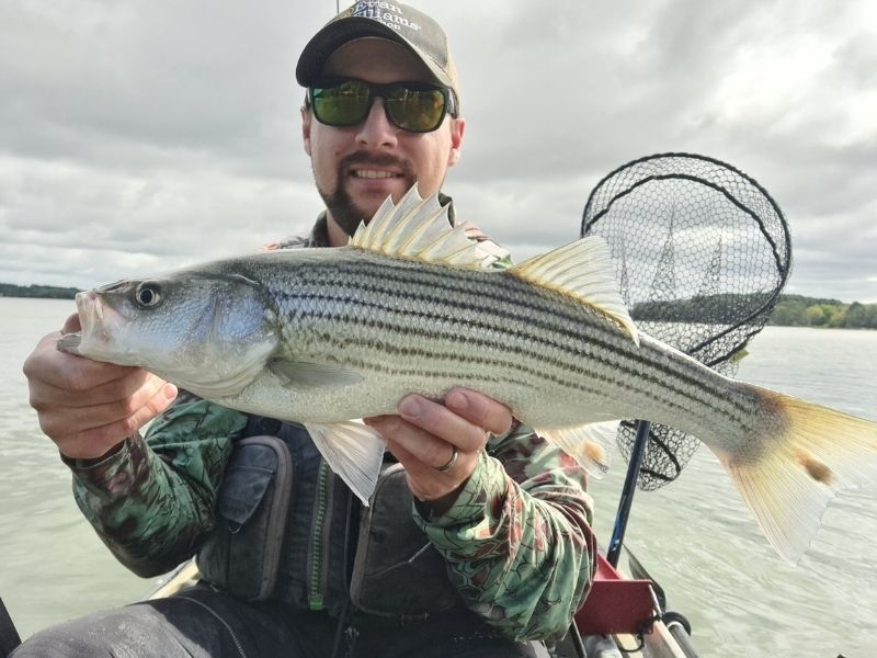 striped bass fishing chesapeake bay